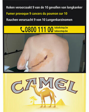 CAMEL YELLOW 30